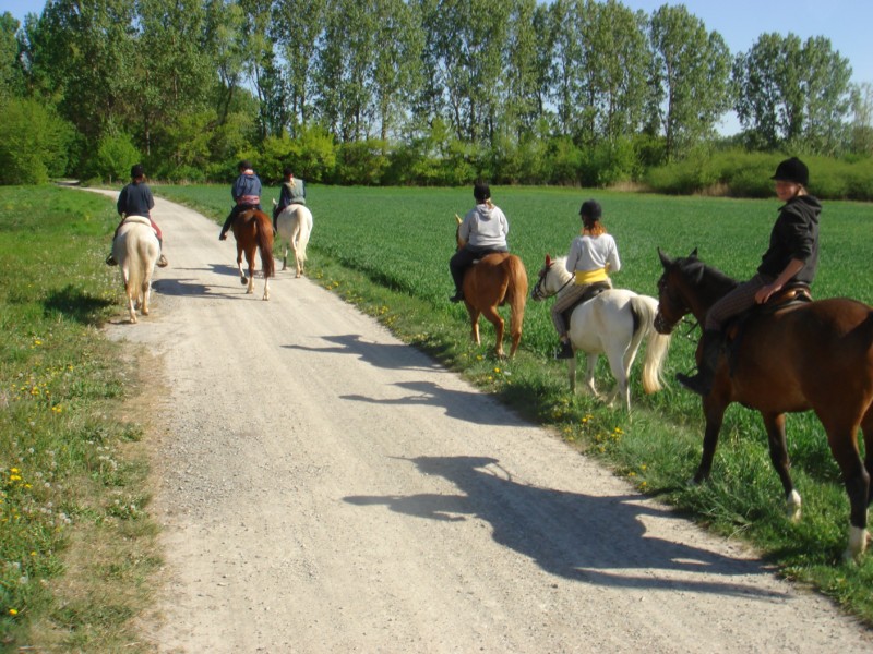 Schliessen von DSC01436.jpg