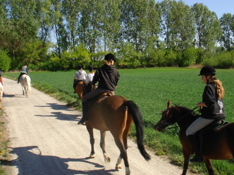 Schliessen von DSC01437.jpg