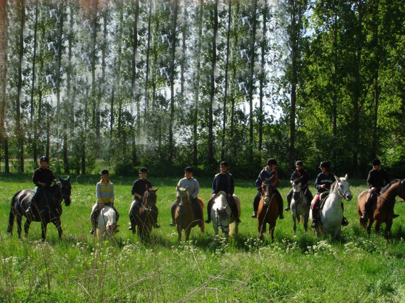 Schliessen von DSC01443.jpg