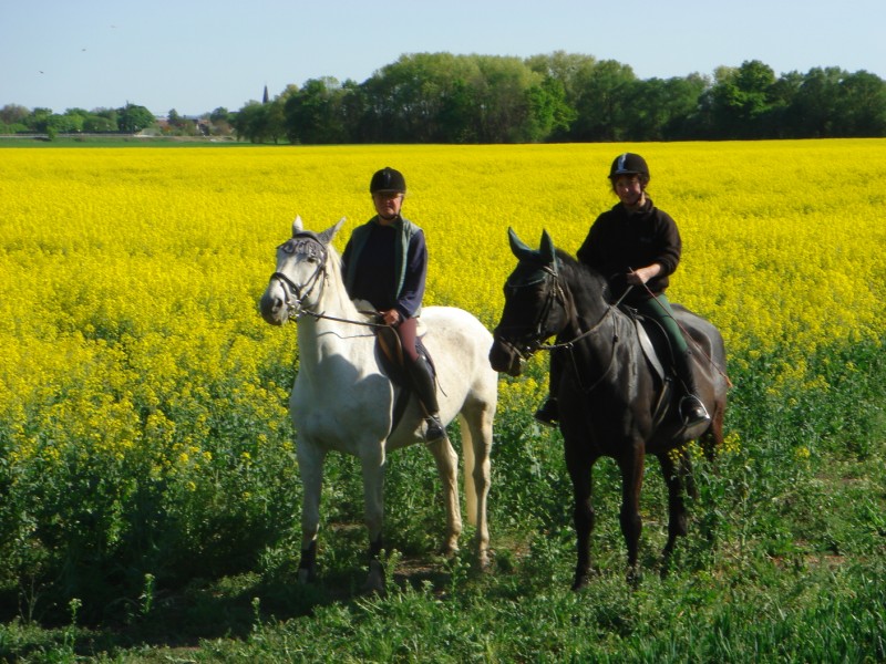 Schliessen von DSC01447.jpg