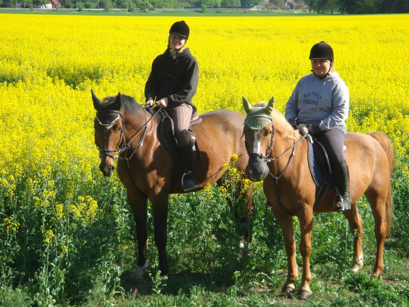 Schliessen von DSC01451.jpg