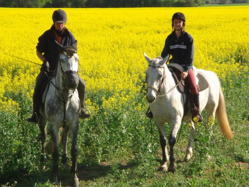 Schliessen von DSC01453.jpg