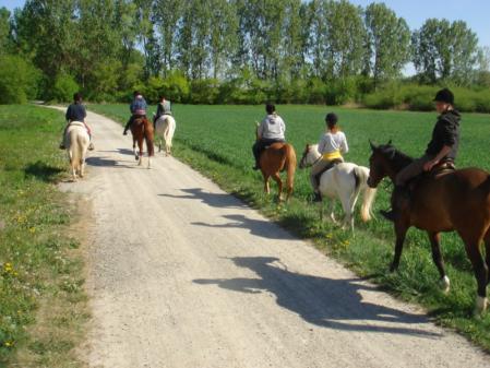 Klick für Originalgröße :DSC01436.jpg