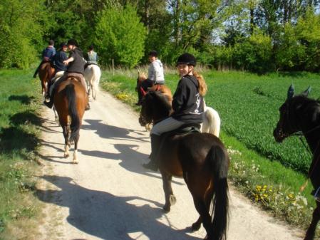 Klick für Originalgröße :DSC01438.jpg