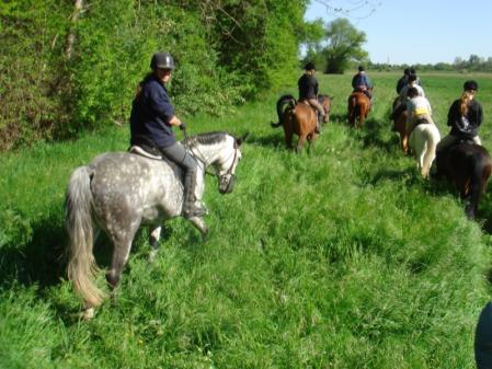 Klick für Originalgröße :DSC01441.jpg