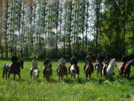 Klick für Originalgröße :DSC01443.jpg