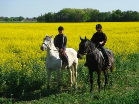 Klick für Originalgröße :DSC01447.jpg