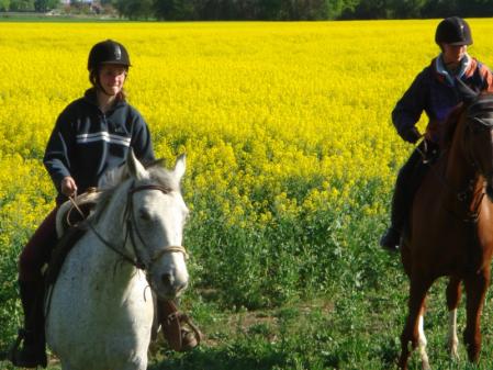 Klick für Originalgröße :DSC01449.jpg