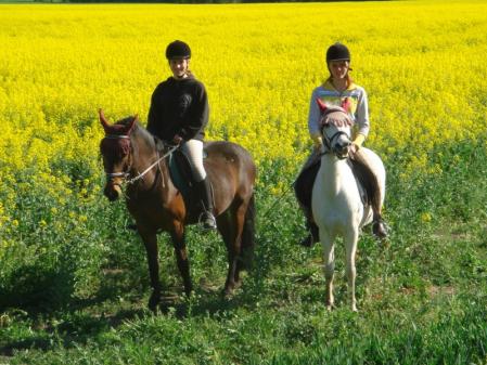 Klick für Originalgröße :DSC01450.jpg