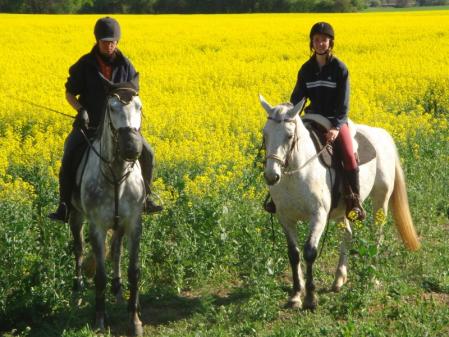 Klick für Originalgröße :DSC01453.jpg